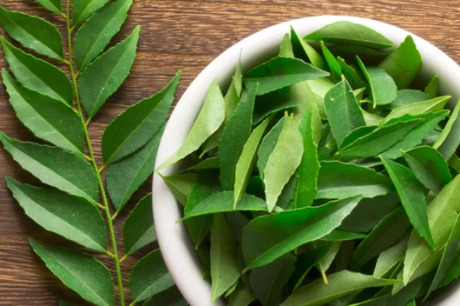 Curry Leaves For Weight Lose