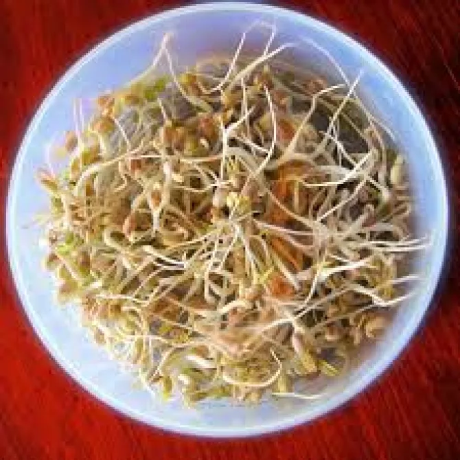 Bean sprouts For Weight Loss