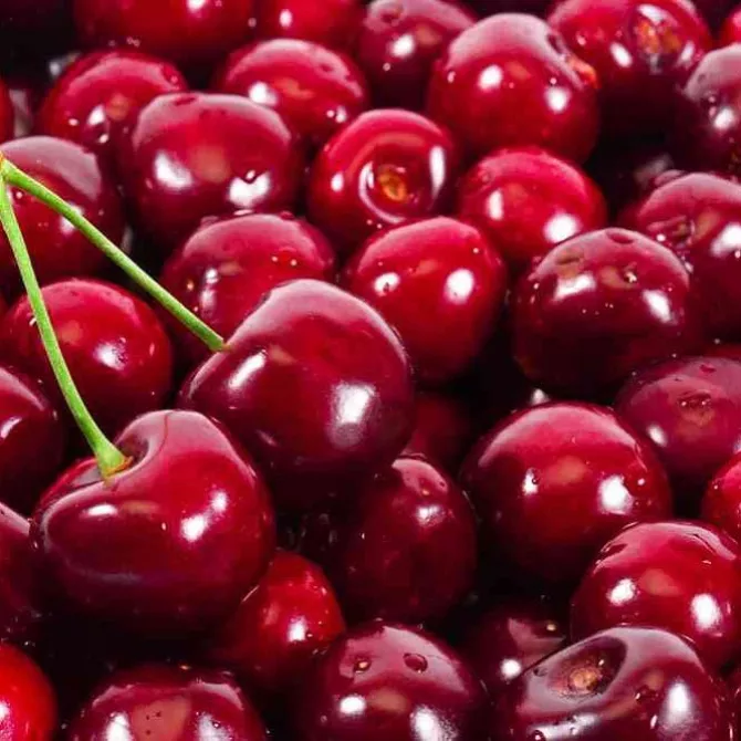 Tart cherries