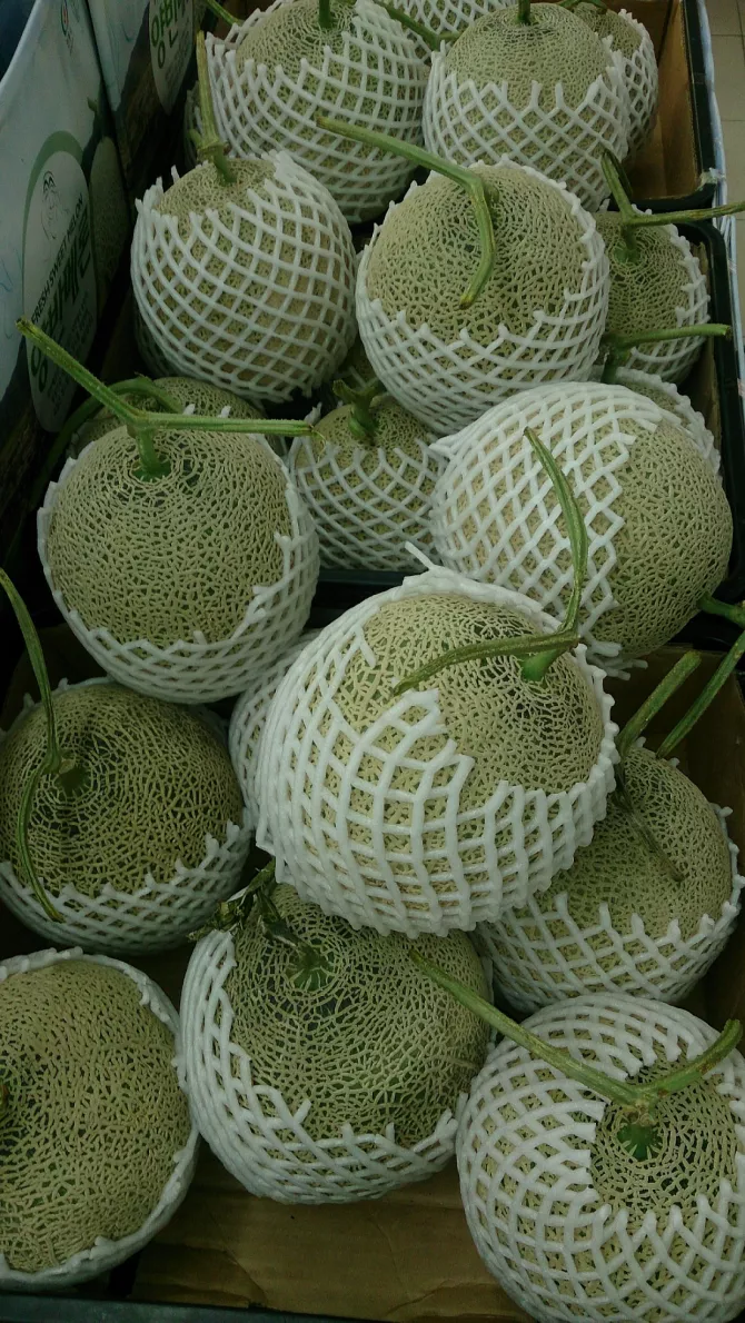 Muskmelons