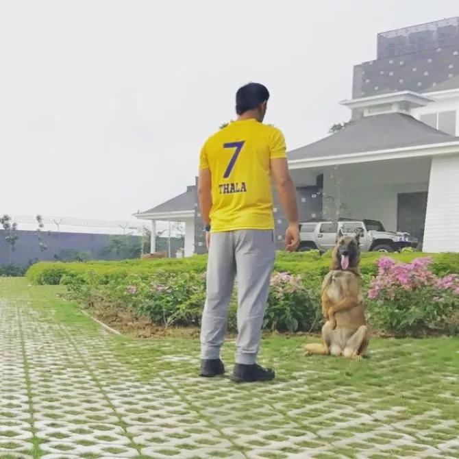 Mahendra Singh Dhoni's Wife, Sakshi Singh Dhoni Gives Glimpse Of Their New  Sea-Facing Home In Mumbai