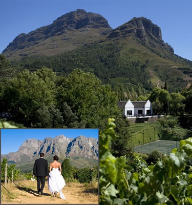 MolenVliet Wine Estate, South Africa