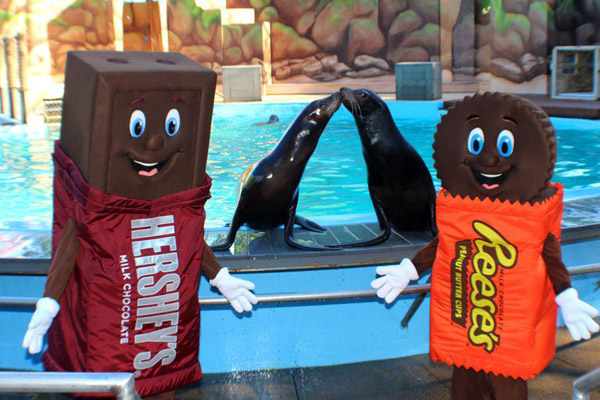 Best Theme Park Honeymoon Destinations for Newlyweds