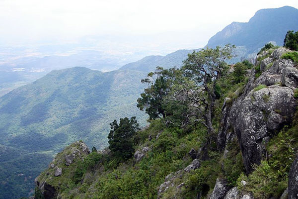 coonoor underestimated honeymoon hill stations in South India