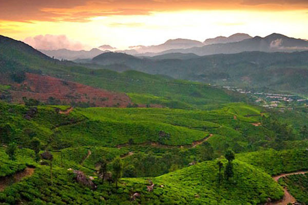 underestimated honeymoon hill stations in South India devikulum