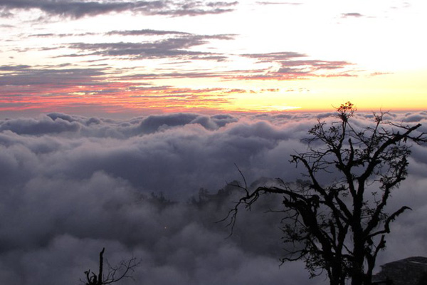 la villa bethany, mussorie