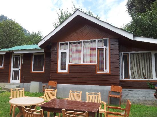 tree house cottages, manali