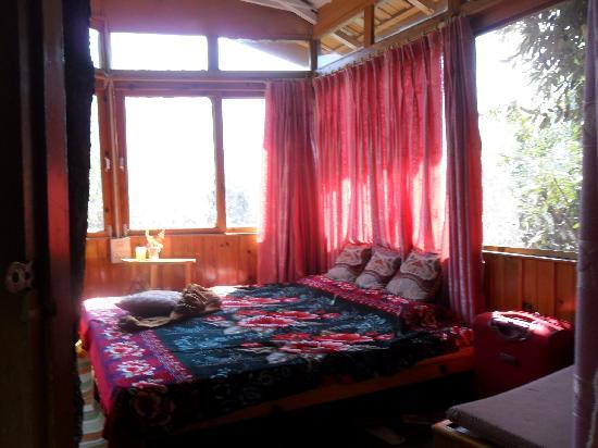 tree house cottages, manali
