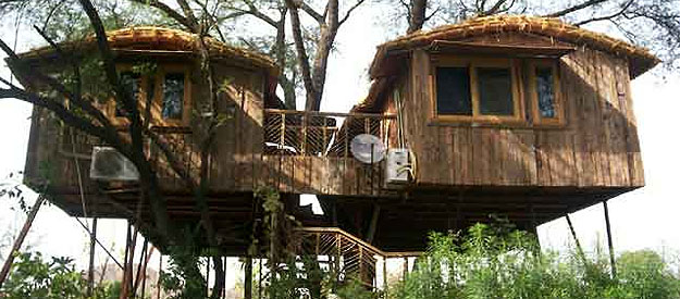 tree house cottages, manali