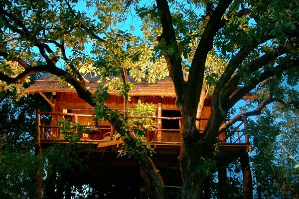 treehouse hideaway, bandhavgarh