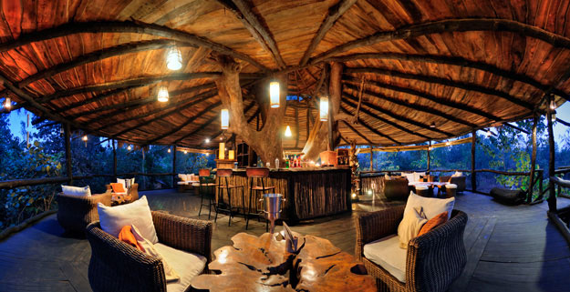 tree house hideaway resort, bandhavgarh