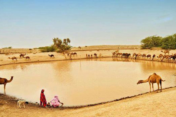 thar desert for virgo