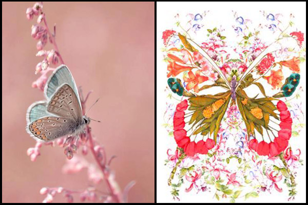 feng shui butterfly paintings