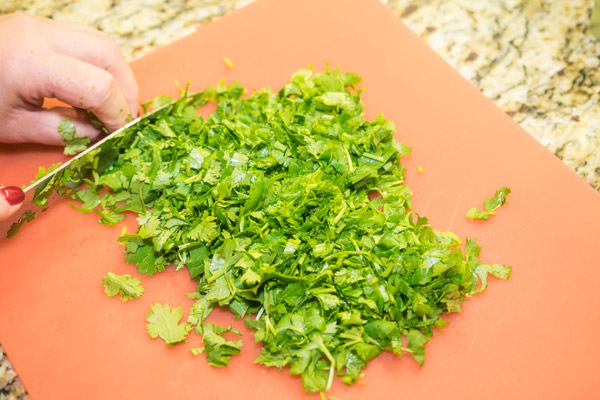 commom foods with health benefits- coriander