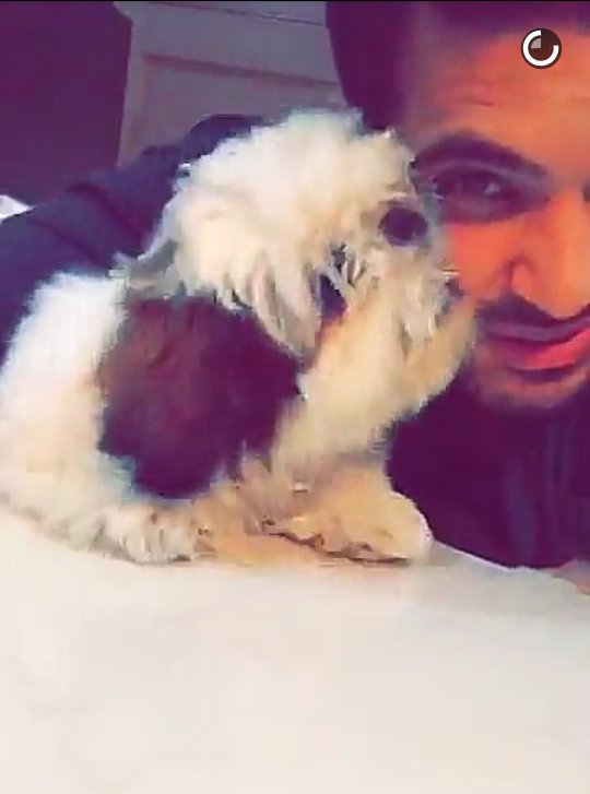 karan kundra and anusha dandekar are dating