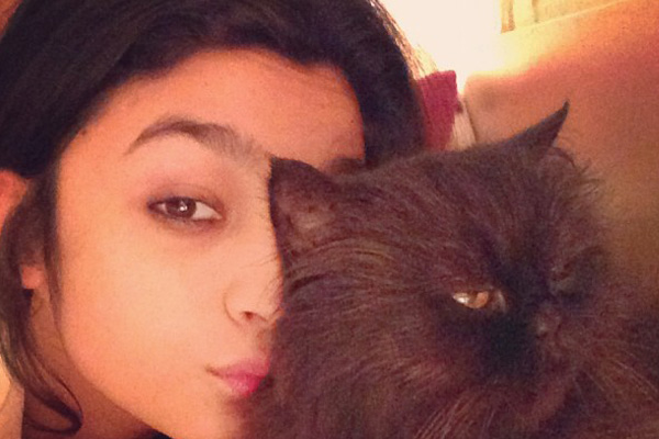 silly ways to turn a down a guy pet