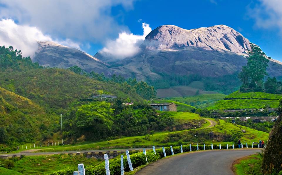 kashmir of south- munnar in kerala