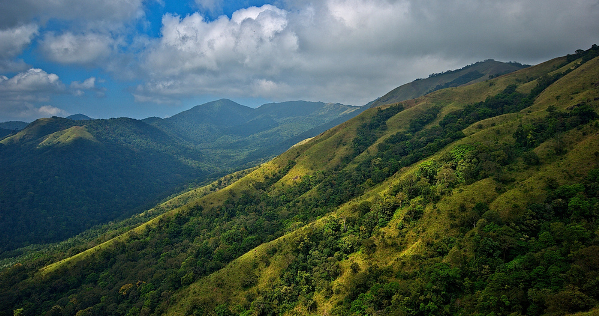 Wayanad kerala popular hill station
