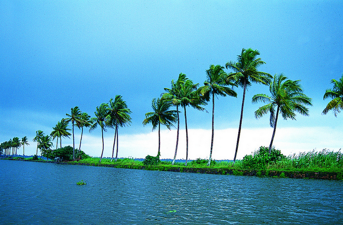 scenic beauty of Kerala backwaters
