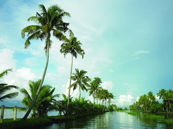 Kerala backwaters scenic beauty