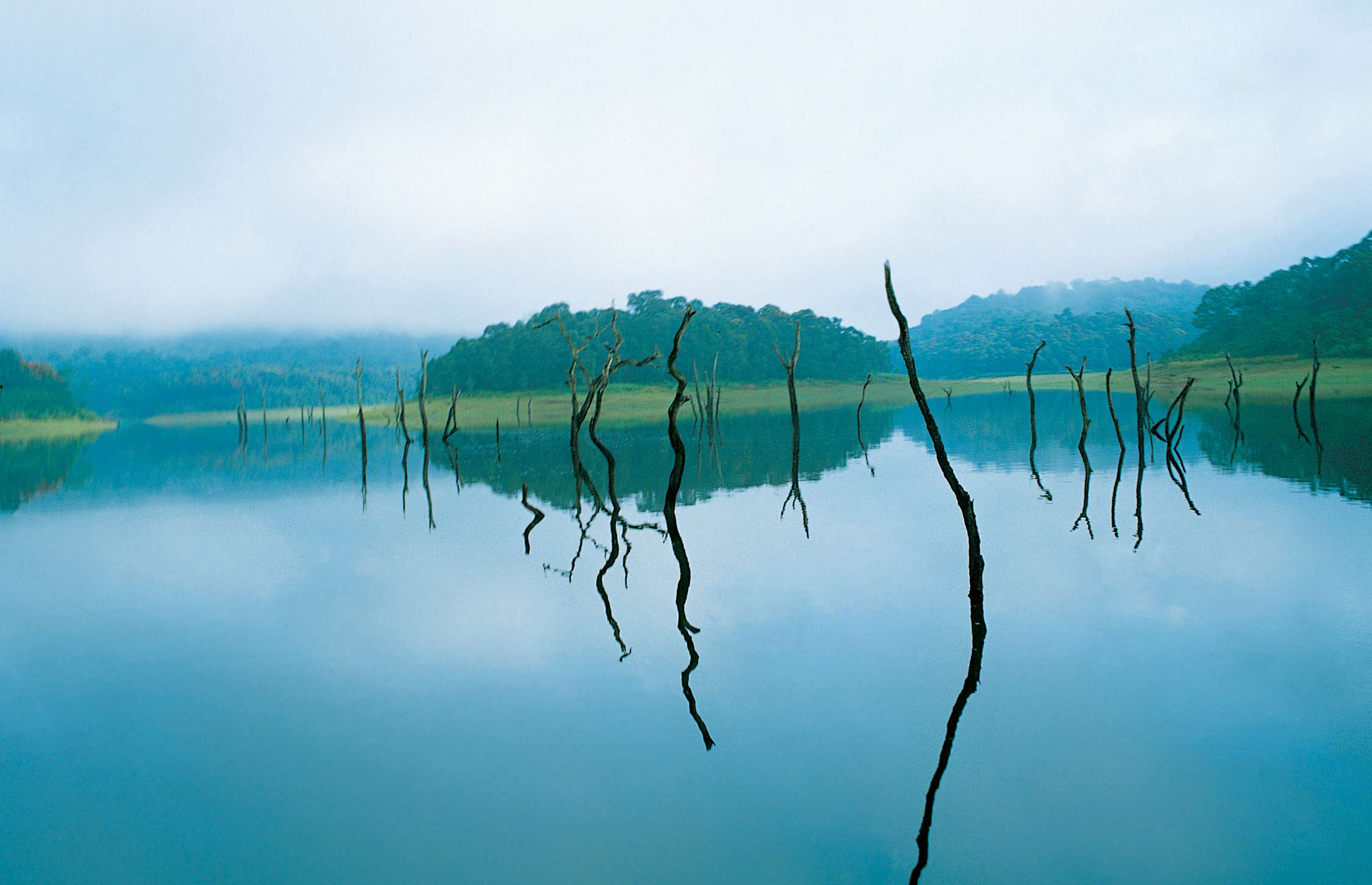 Thekkady natural beauty 