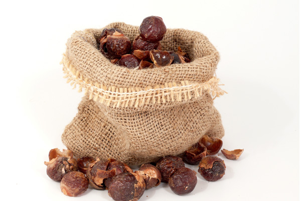 no poo movement reetha soapnuts