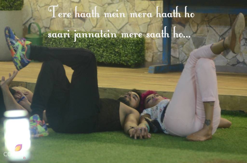 bigg boss 8