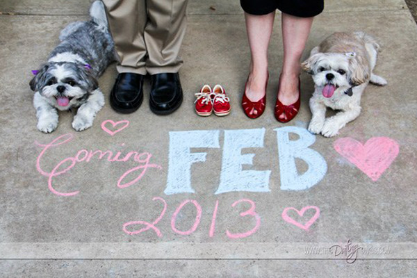 Let Announcement made by your pet