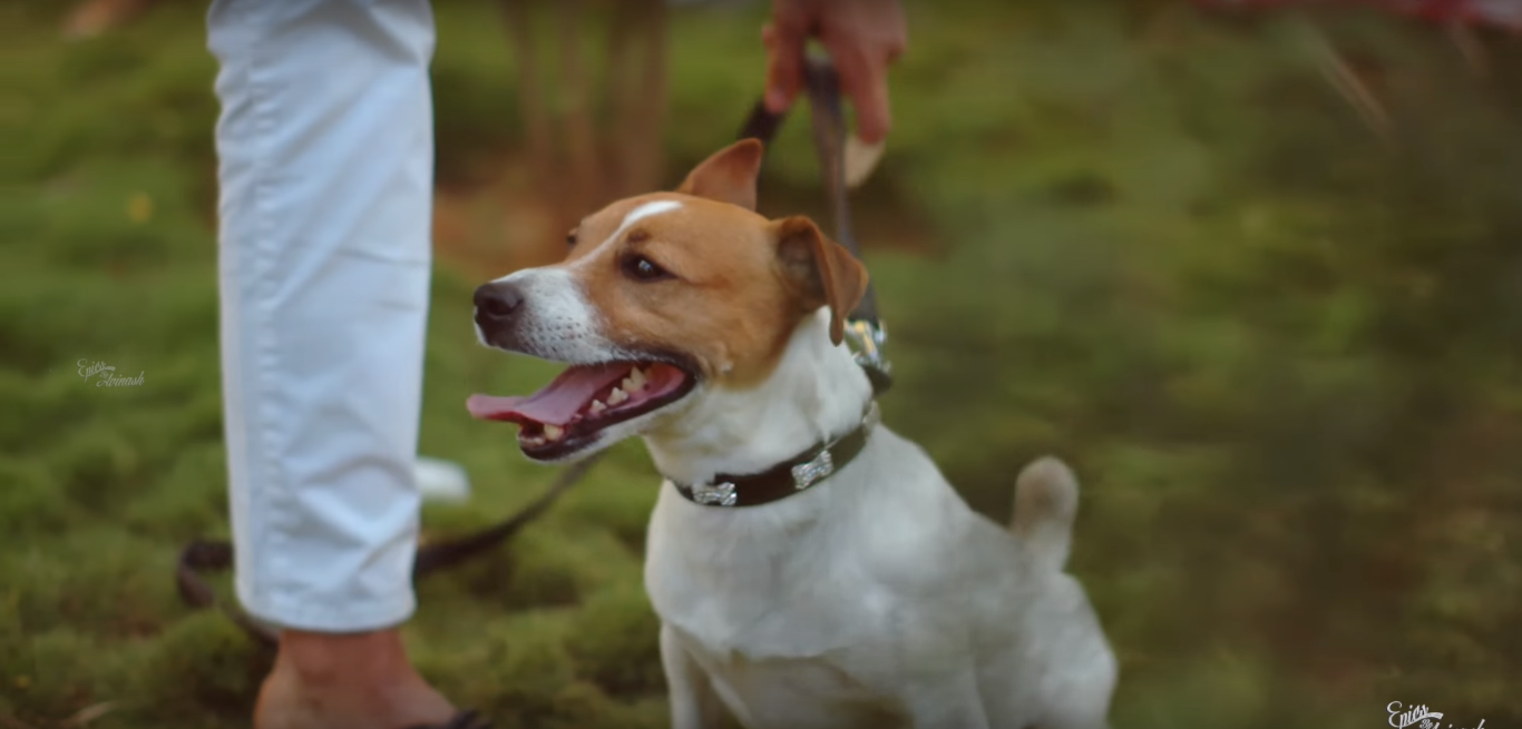 chiranjeevi daughter wedding