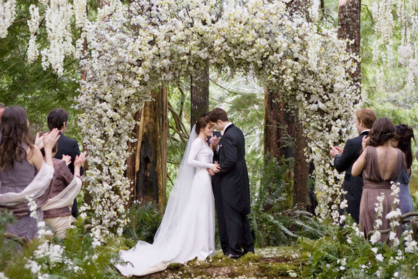 Image / Breaking Dawn