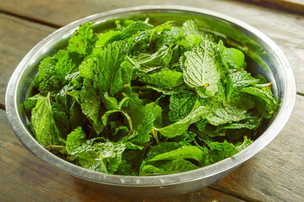 fruits infused water for weight loss