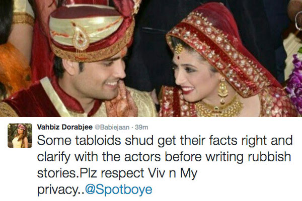 Vipul Roy And Vivian Dsena