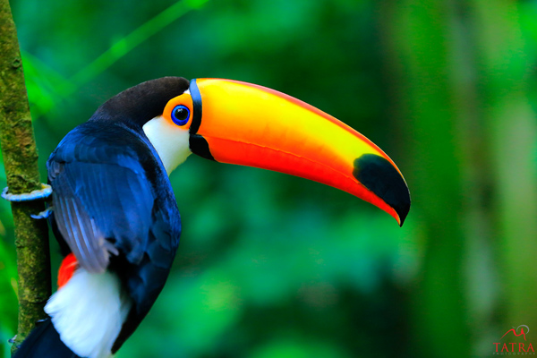 Image Courtesy: Tara Photography