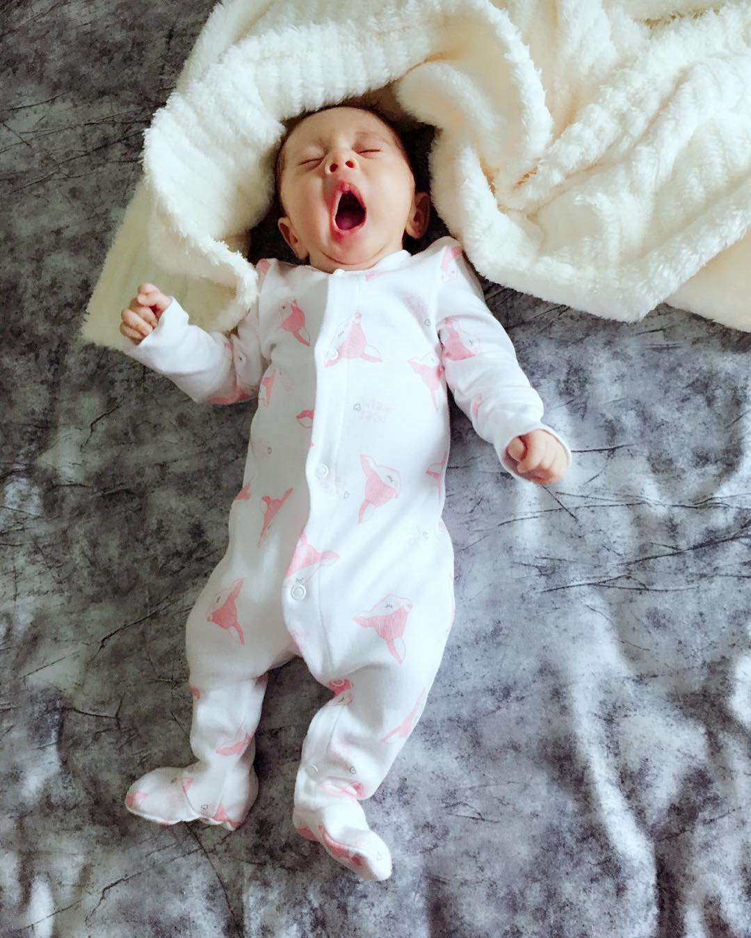 Mallika Sherawat Nephew