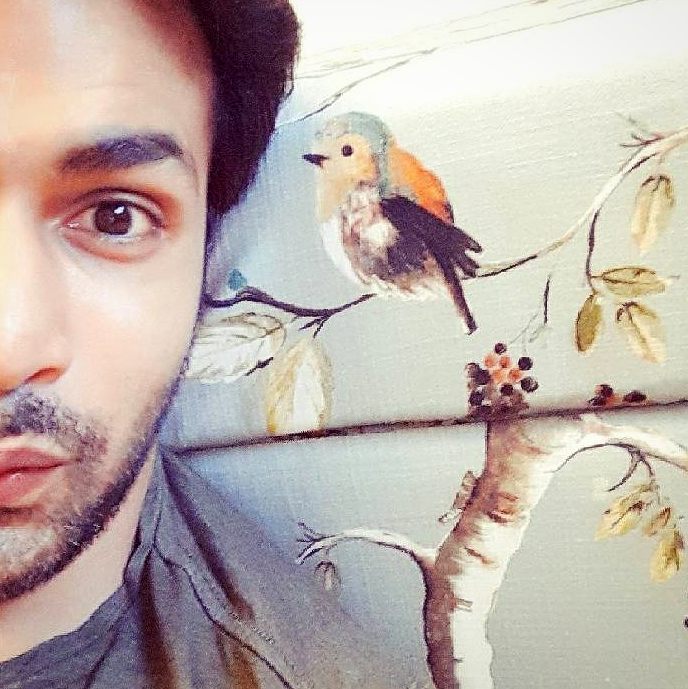 Naman Shaw pre wedding