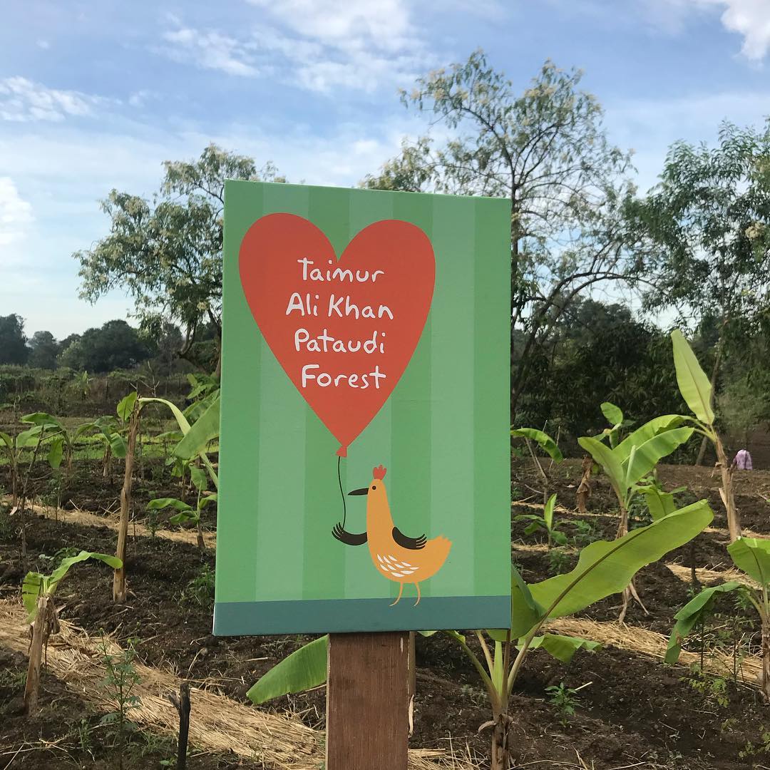 Taimur Biggest First Birthday Gift