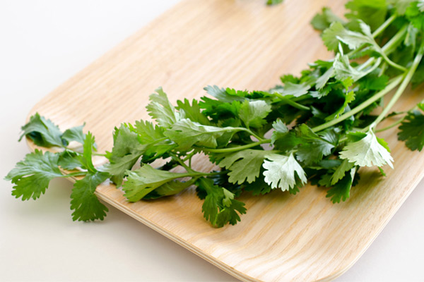 Image/BollywoodShaadis