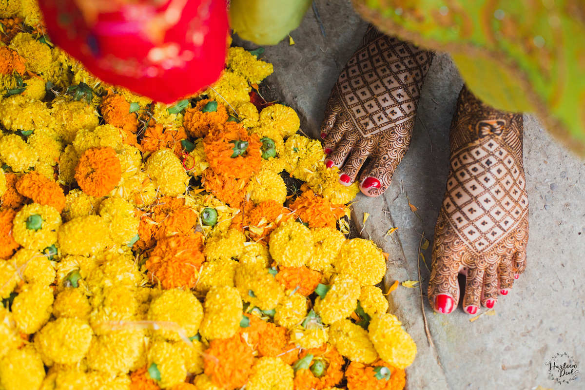 Image/Harleen Deol Photography