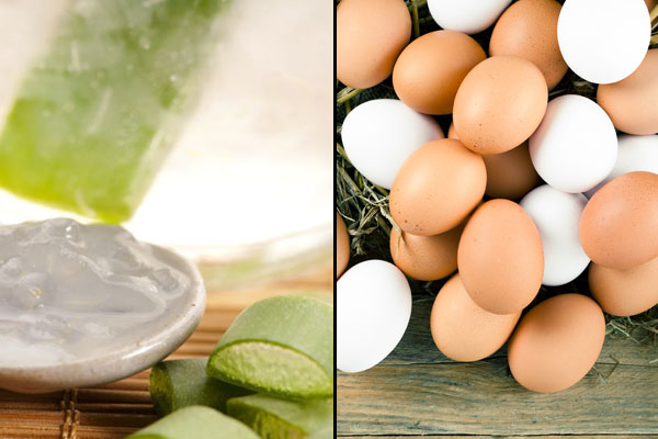 Aloe vera hair masks 