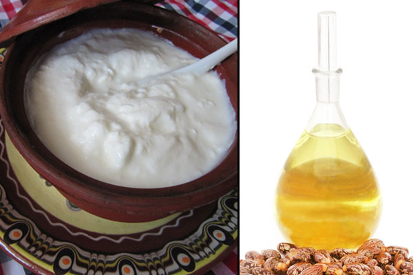 Yoghurt and Castor Oil Hair Mask
