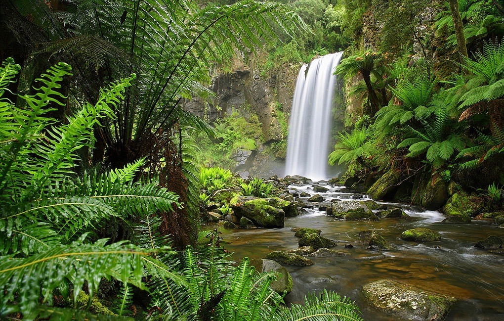 Image: Journey To Surrender via Wordpress