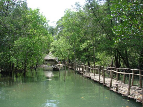 Image: Odisha Television Limited