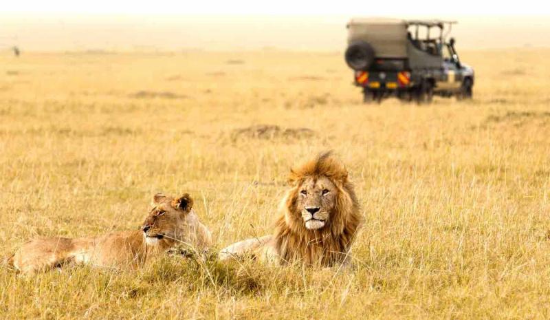 Image: Gujarat Tourism