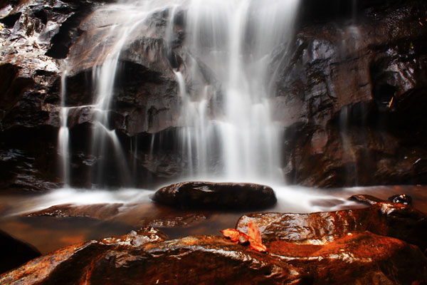 Image Courtesy: Flickr