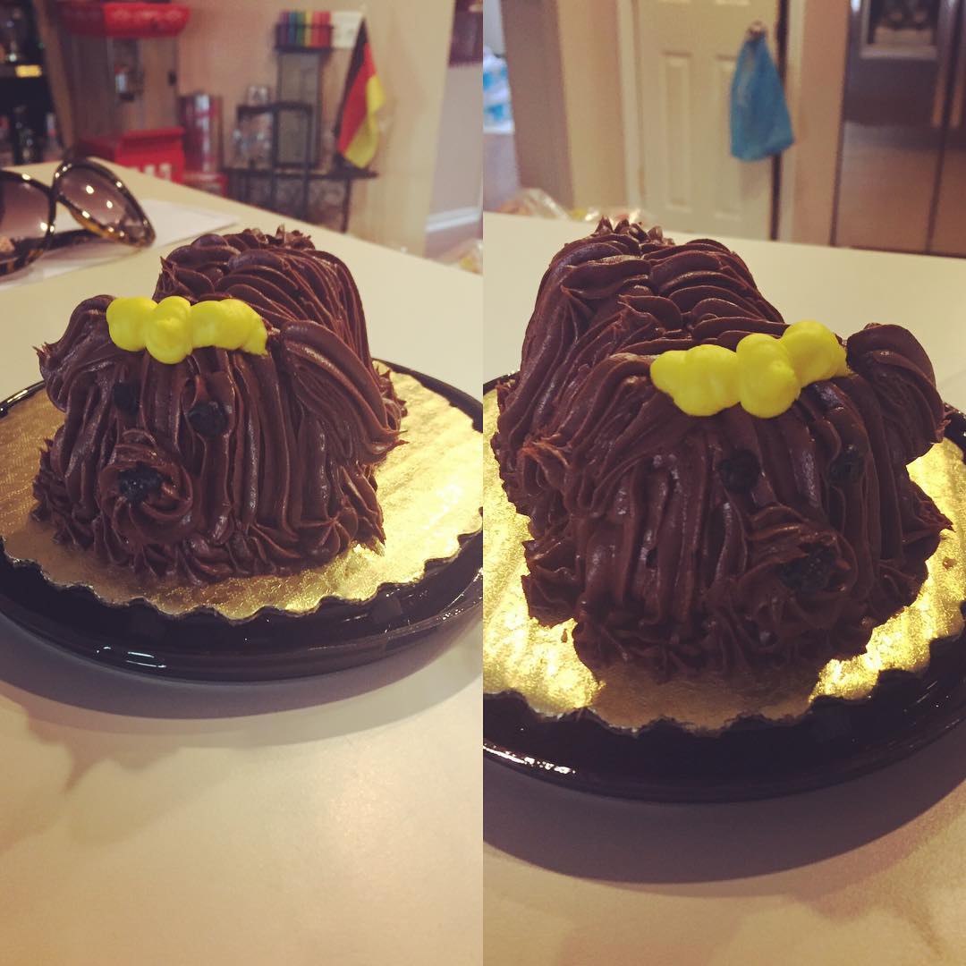 Image Courtesy: Instagram