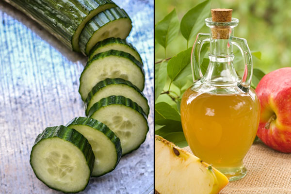 food combos to lose weight