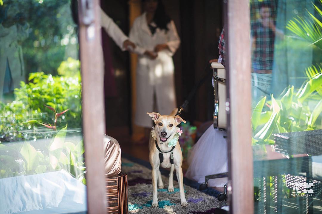 Image Courtesy: Instagram