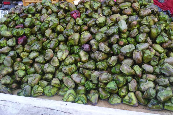 green water chestnut 