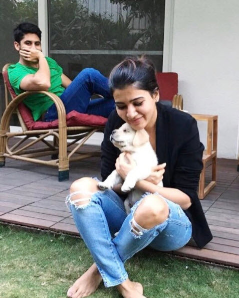 Naga Chaitanya and Samantha Ruth Prabhu