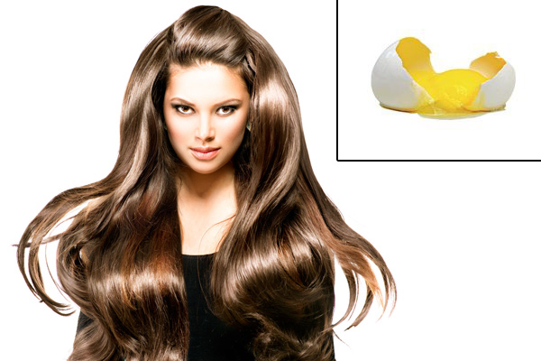 Healthy hair with egg white